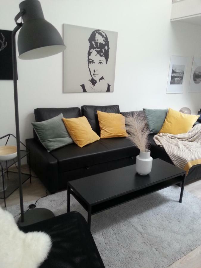 Apartman V Blizkosti Centra Brna Брно Экстерьер фото